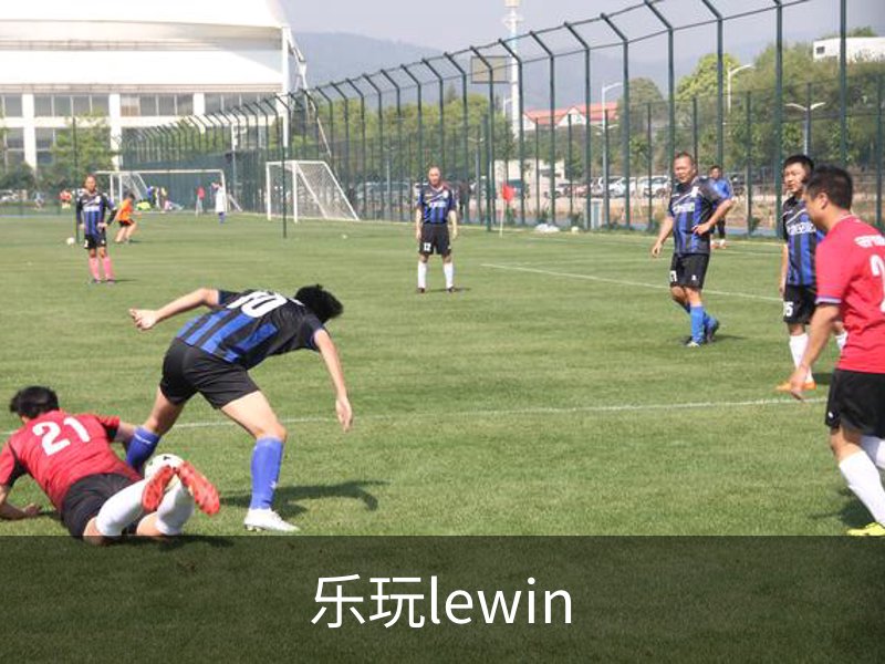 关于乐玩lewin